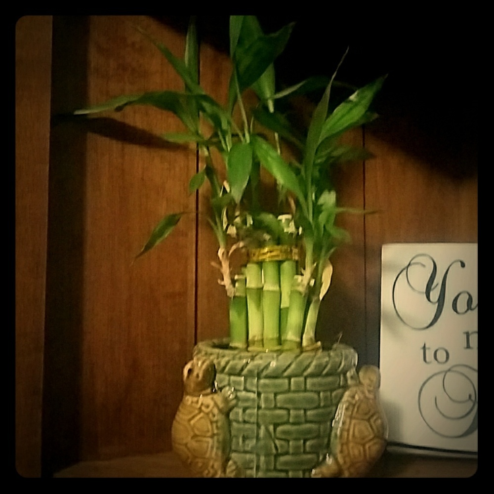 Meet your Posher, Jethro